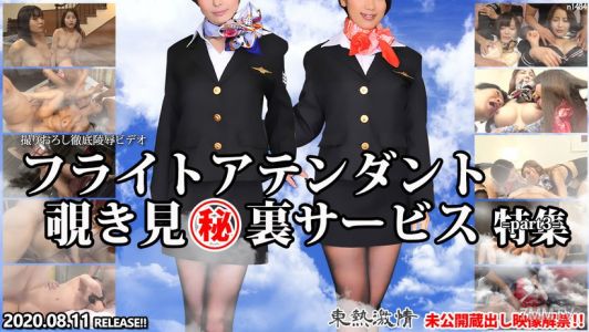 n1484 TOKYO HOT Passionate Flight Attendant Peeping Secret Service Special Part 3
